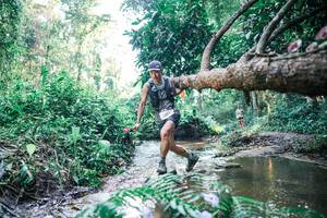 BIB: 
                            <button type="button" onclick="openModal(25442151)" class="btn btn-primary btn-sm float-right btn-popup" data-toggle="modal" data-target=".modal-high-quality">
                        <i class="fas fa-shopping-cart"></i> Add to Cart
                    </button>
                                            <button type="button" onclick="isThisMe(25442151, true)" class="btn btn-success btn-sm float-right btn-popup btn-isme hidden" data-toggle="tooltip" data-placement="bottom" title="นี่คือรูปของคุณใช่ไหม คลิกที่นี่เพื่อเอาเข้าอัลบั้ม">
                        <i class="fas fa-plus"></i> Add to album
                    </button>
                    <button type="button" onclick="isThisMe(25442151, false)" class="btn btn-warning btn-sm float-right btn-popup btn-isnotme hidden">
                        <i class="fas fa-ban"></i> Remove from album
                    </button>